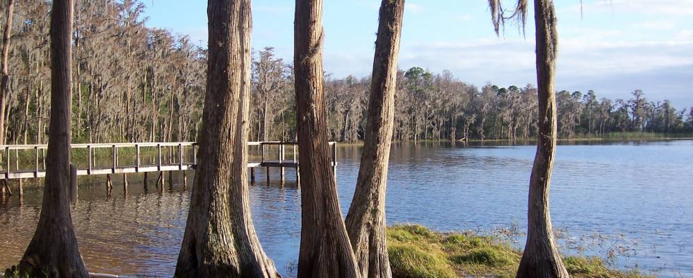 
            Фотография Чалуоты