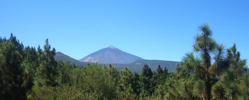 
            Фотография Реалехо Альто