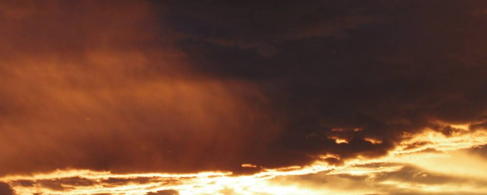 
            Фотография Специи