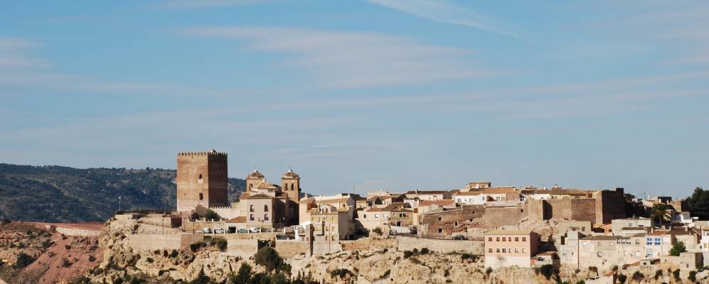 
            Фотография Аледо