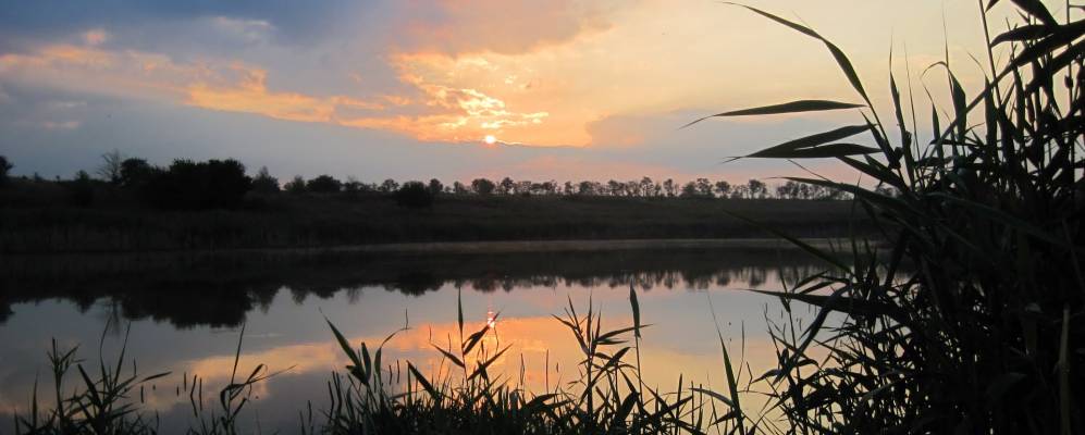 
            Фотография Успенского