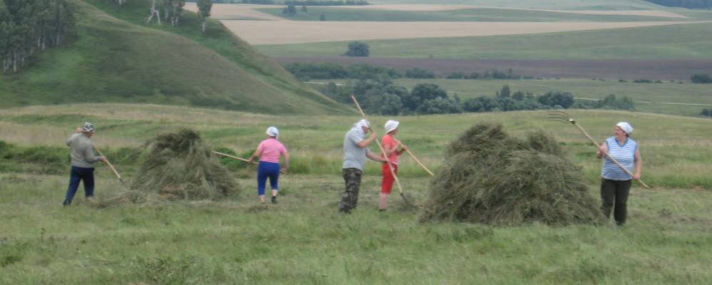 
            Фотография Новониколаевки