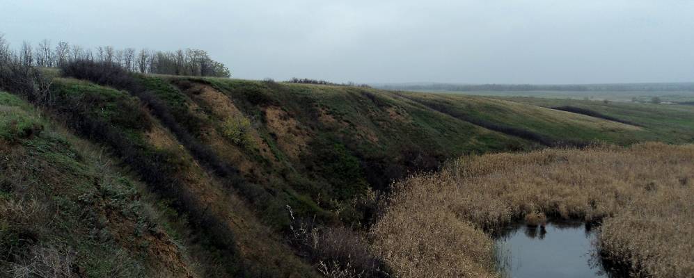 
            Фотография Лисичкина