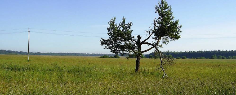 
            Фотография деревни Кондуши