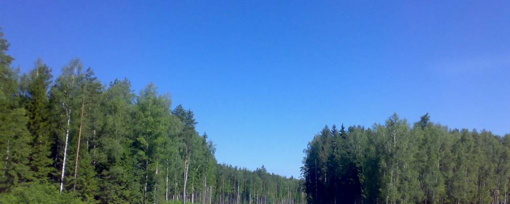 Фотография Черноземовки