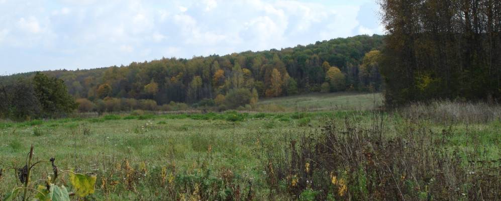 
            Фотография Льгова