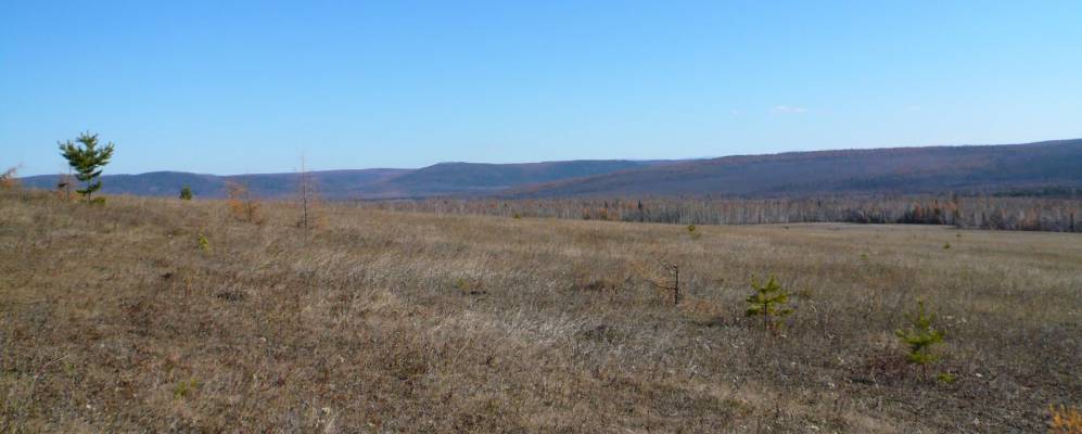 
            Фотография Хогота