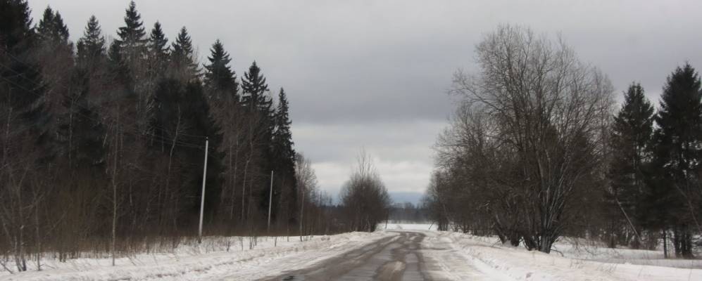 
            Фотография Пружиц