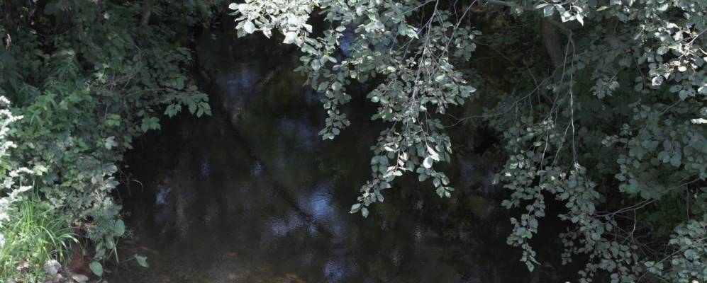 
            Фотография Вельицы