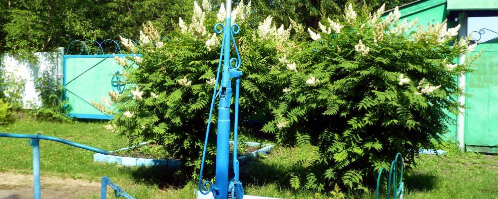 
            Фотография Рассвета