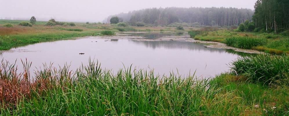 
            Фотография деревни Филипаны