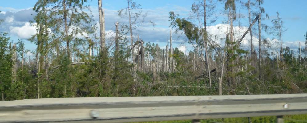 
            Фотография Поповского