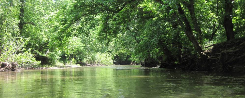 
            Фотография Садлей