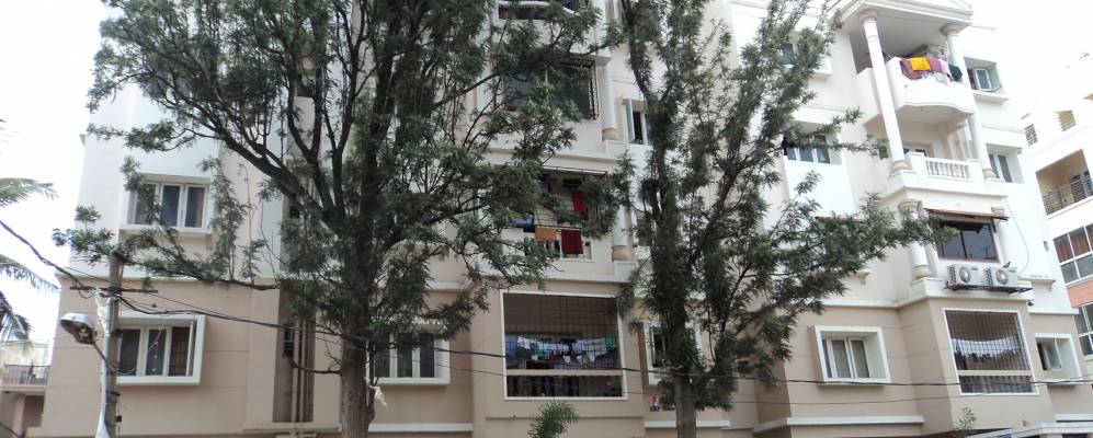 
            Фотография Курджипской