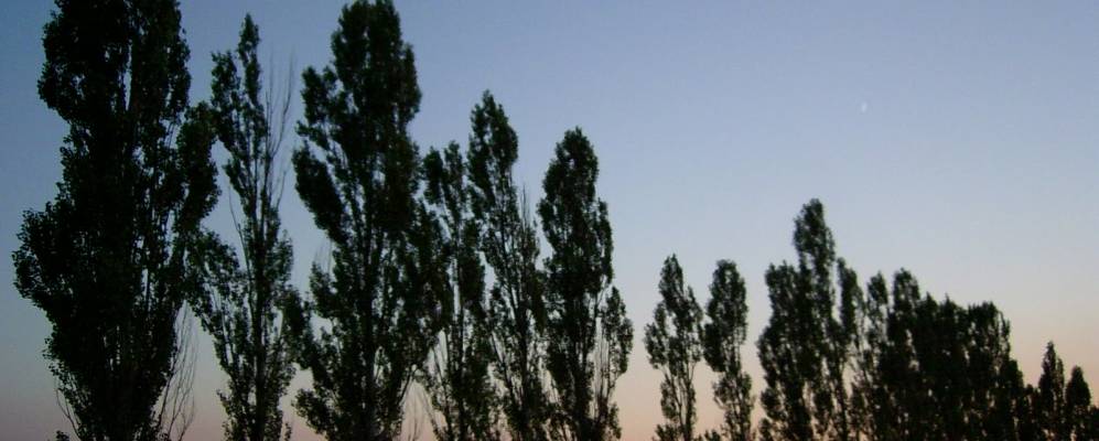 
            Фотография Семигорского