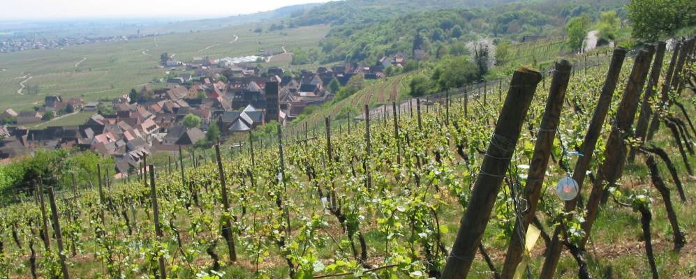 
            Фотография Иссанхайма