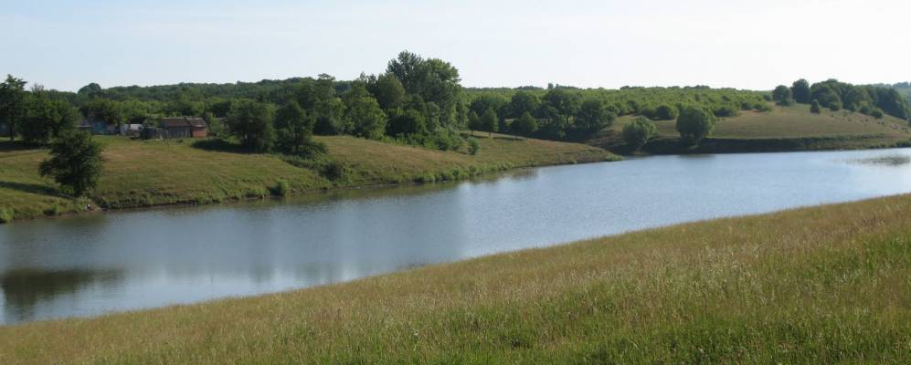 
            Фотография Каучука