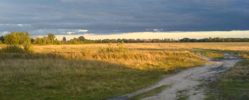 
            Фотография Звягинцево