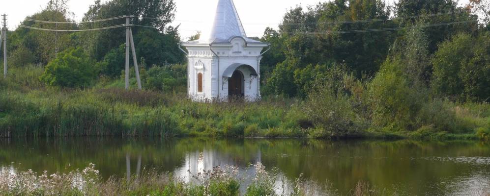 
            Фотография Шулеца