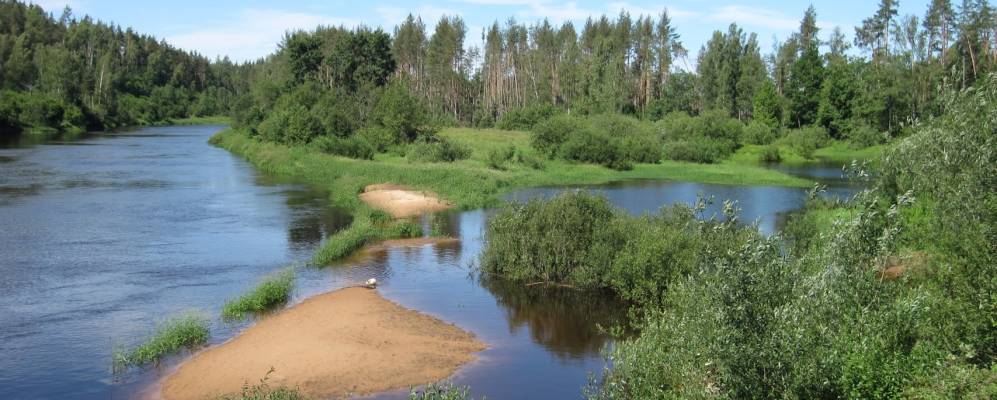 Фотография Горончарово