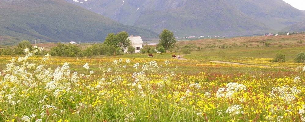 
            Фотография Хеггстада