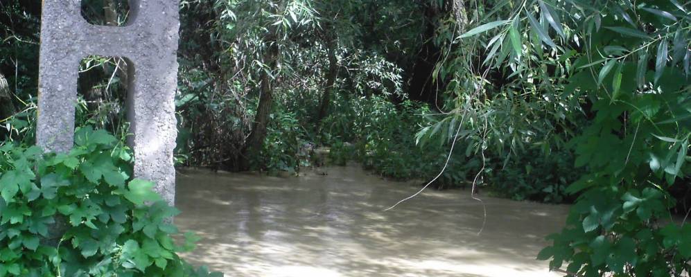 
            Фотография Бадова