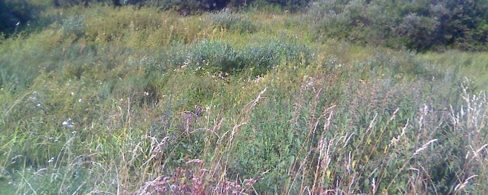 Фотография Веретья