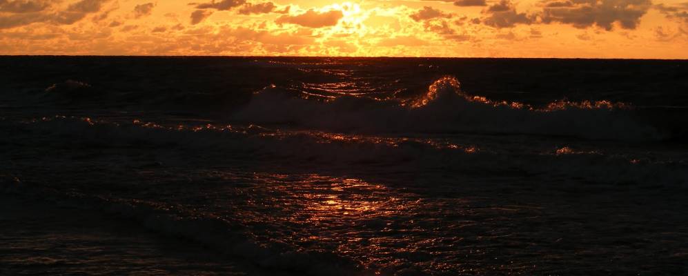 
            Фотография Малиновки