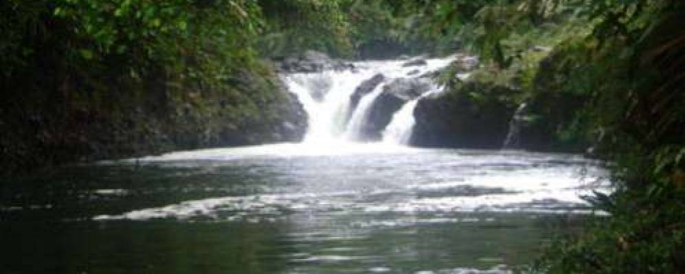 
            Фотография Льюримагуас