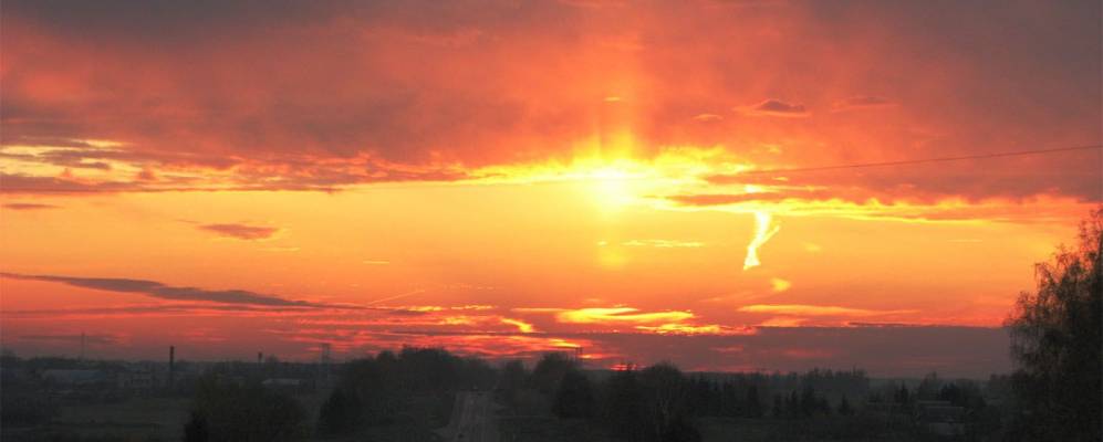 
            Фотография Кривого