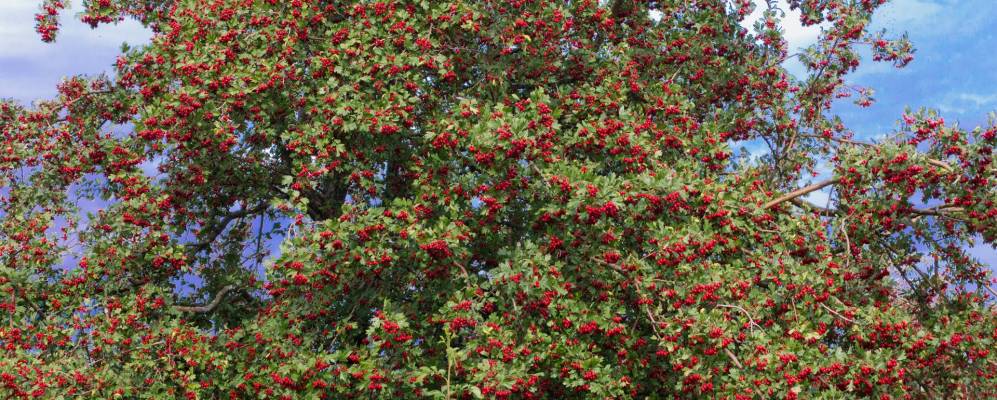 
            Фотография Васильевки