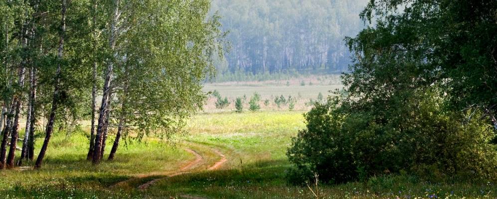 
            Фотография Кумысного