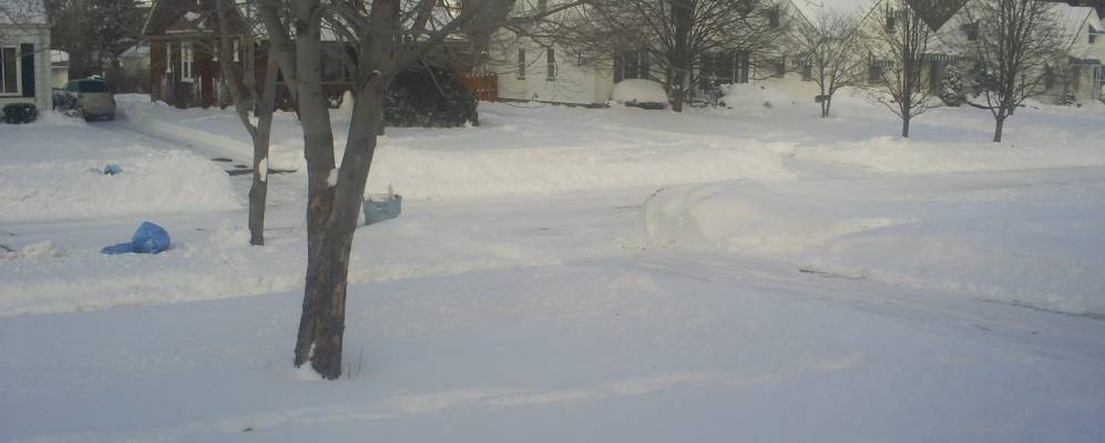 
            Фотография Пармы