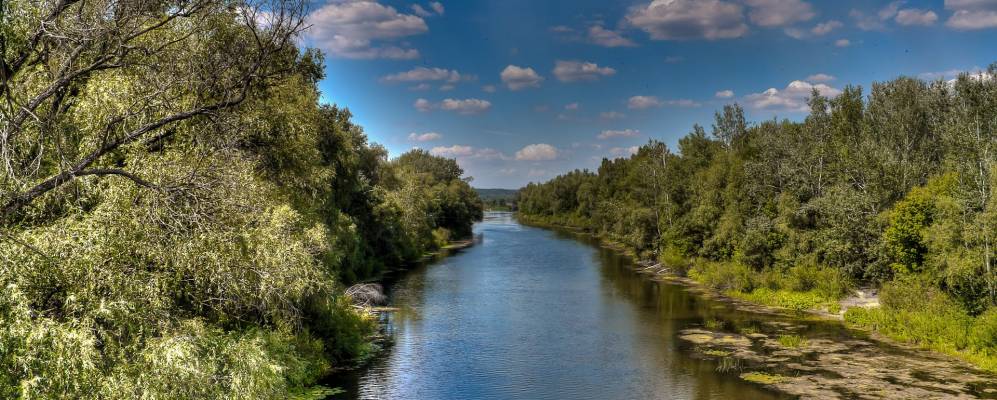 
            Фотография Шипоши