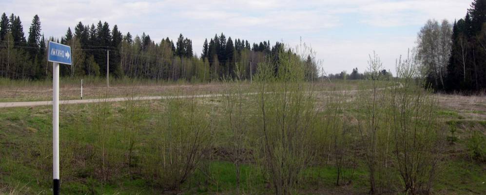 
            Фотография Пасеки