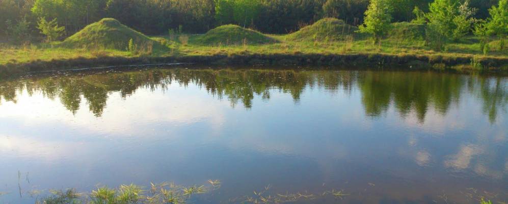 
            Фотография деревни Завидчицы