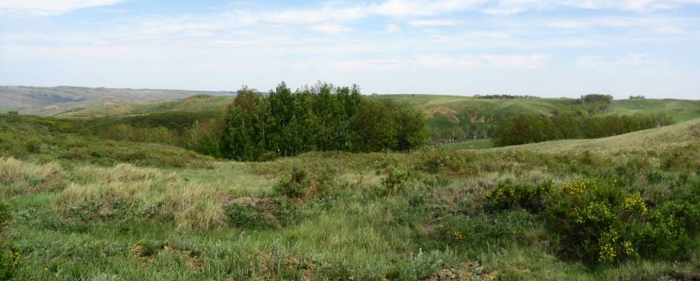 Фотография Новой Ракитянки