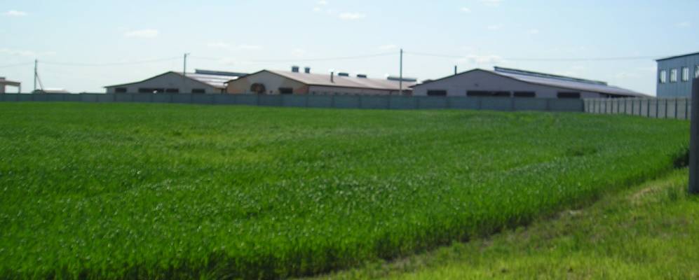 Фотография агрогородка Рудники