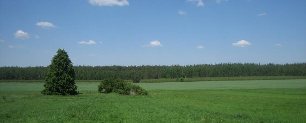 Фотография Селища