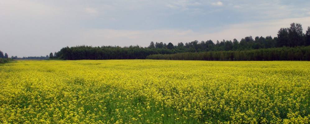 Фотография Чуркино