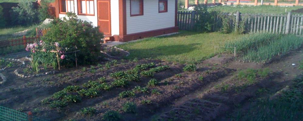 
            Фотография Посоховы