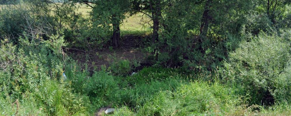 Фотография Вязовки