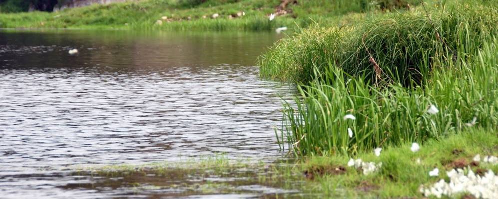 
            Фотография Ольховки