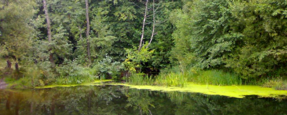 
            Фотография Тарасовки