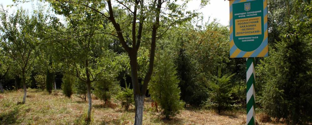 
            Фотография Червенево