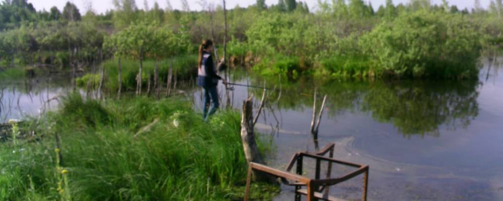 
            Фотография Чистого