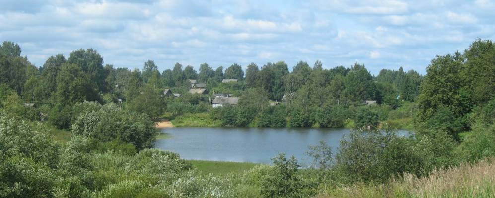 
            Фотография Старины