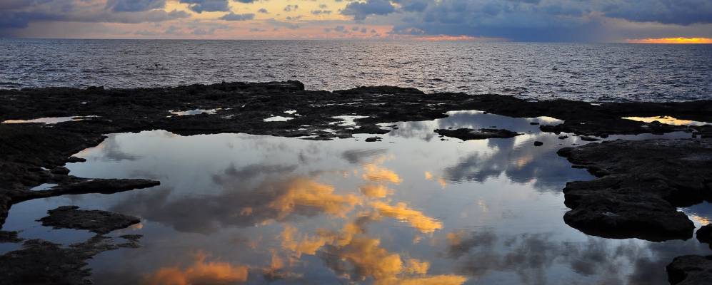 
            Фотография Маона