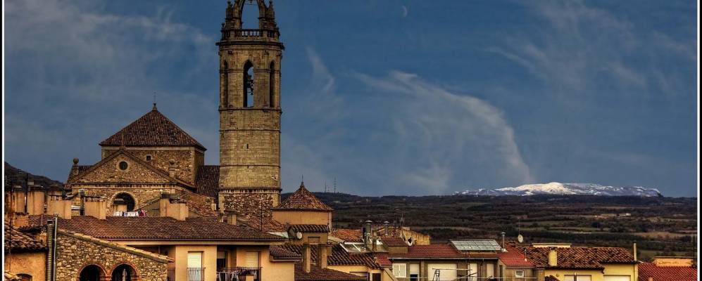 
            Фотография Моиы