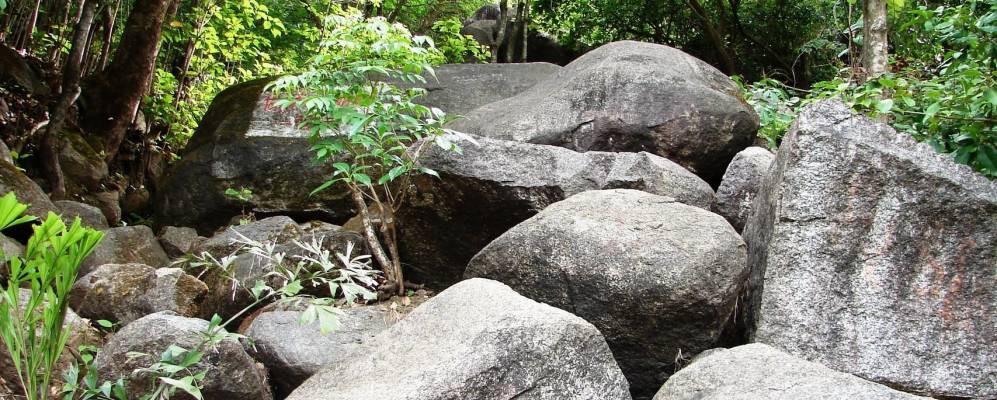 
            Фотография Савантвади